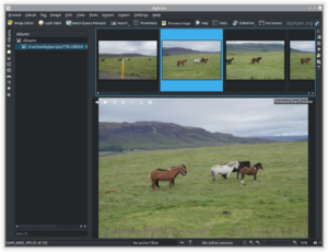 Photo manager per Linux, ecco 5 dei migliori