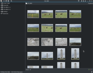 Photo manager per Linux, ecco 5 dei migliori