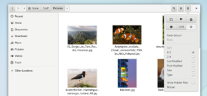 Arriva GNOME 3.22 'Karlsruhe': Files potenziato, condivisione foto e supporto completo a Flatpak