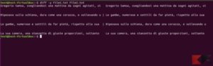 Confrontare due file in Linux col comando diff