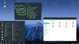 Riflessione serale sul look di Linux Mint...