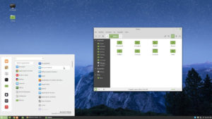 Riflessione serale sul look di Linux Mint...