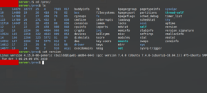 [Guida] Linux: scopriamo insieme il contenuto del virtual filesystem /proc